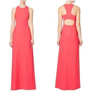 Elizabeth & James Pink Yasmine Open Back Formal Gown $695